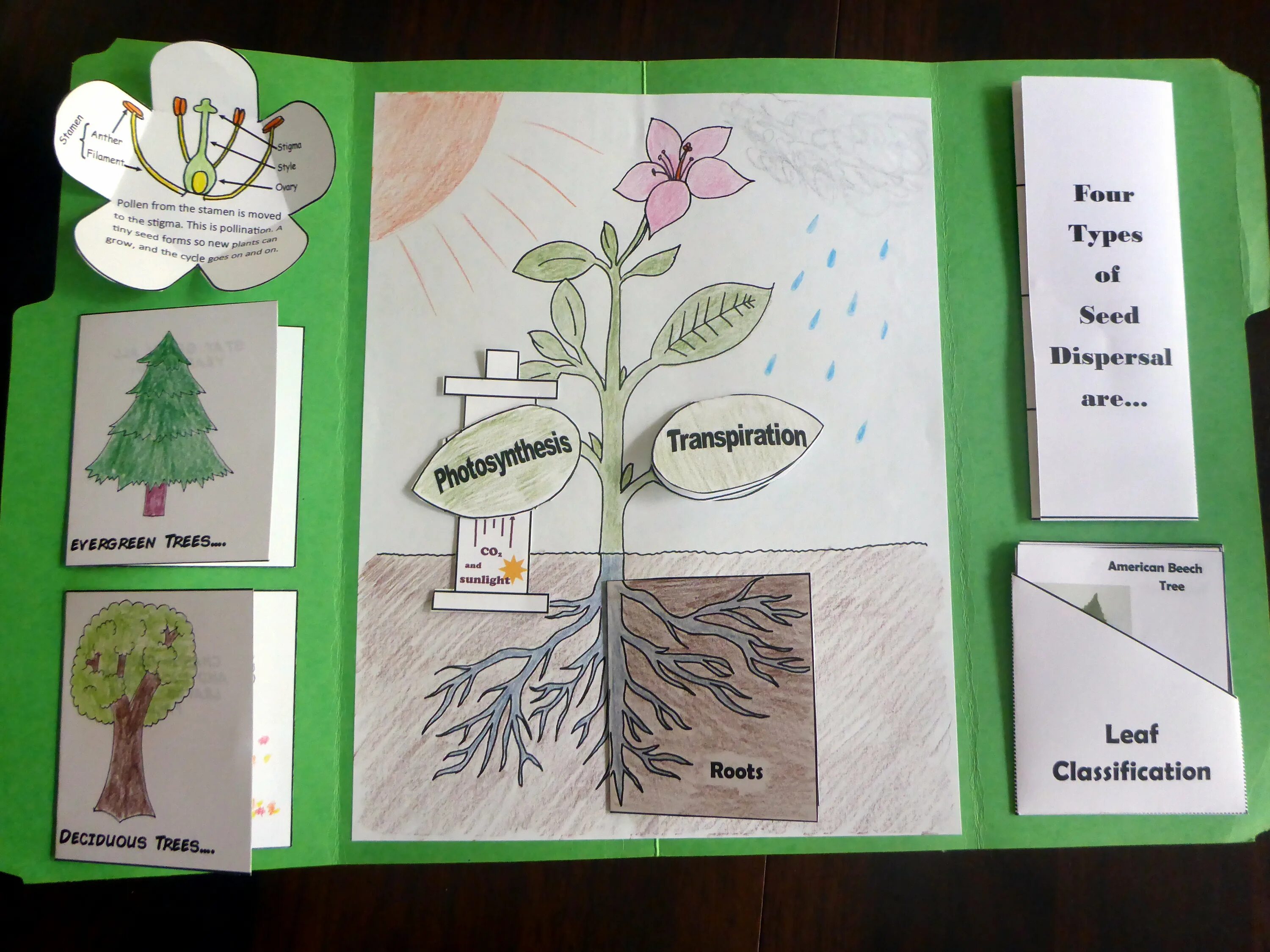 Книжка малышка по биологии. Книжка малютка по биологии. Книжка малышка по биологии. Книжка малышка по биологии. Книжка малышка по биологии.