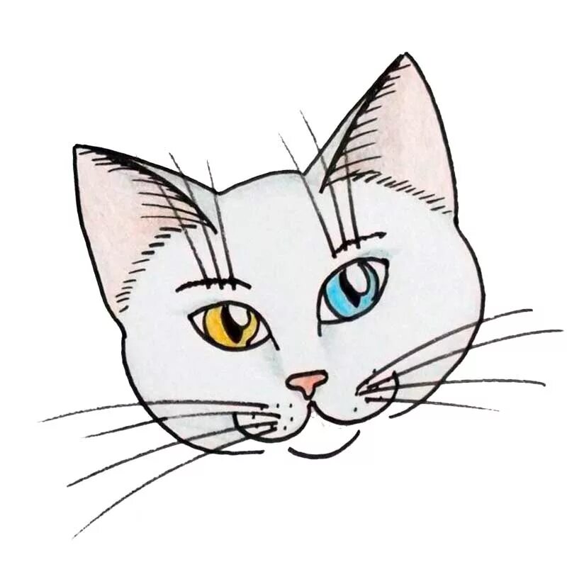 Картинки нарисованные котики легкие. Кот рисунок. Картинки для срисовки. Картинки для срисовки котики. Рисунок кошки для срисовки.