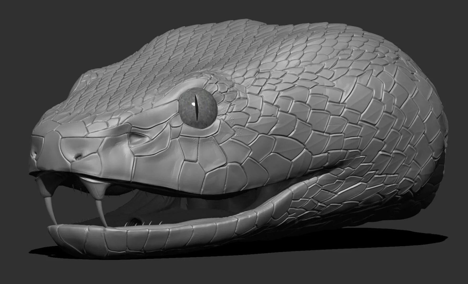 Snake 3d model