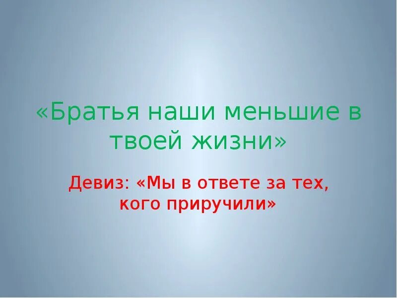 Девиз животных. Братья наши меньшие. Братья наши меньшие стихи. Буклет братья наши меньшие. Девиз жизни.