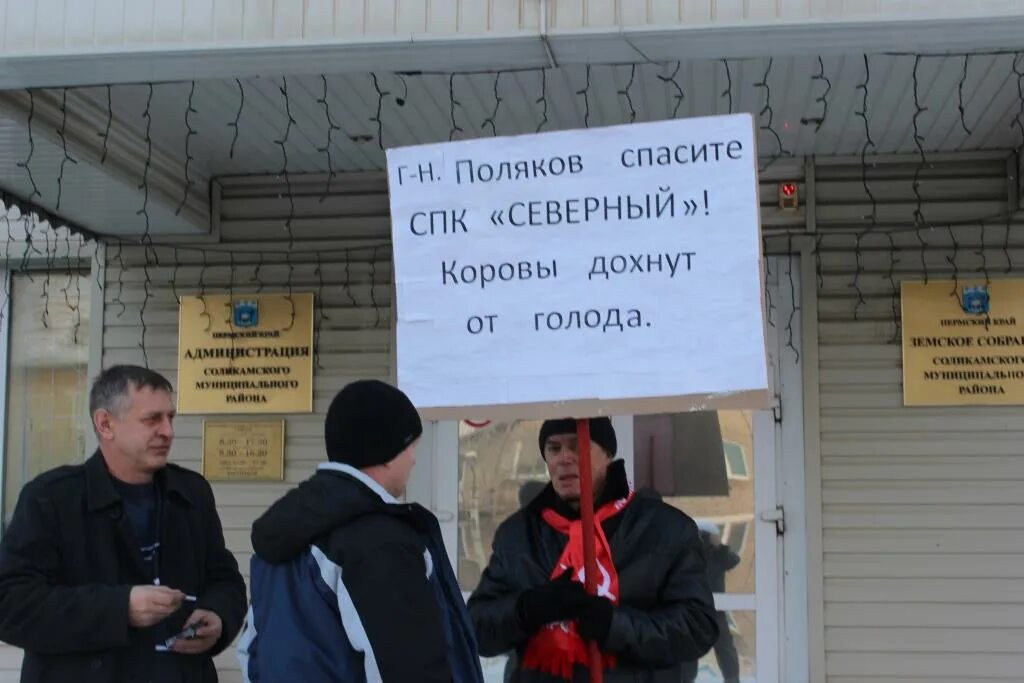 Спк северный соликамск. Спк большеутинский. Спк северный. Проблема ферма. Спк северный соликамск.