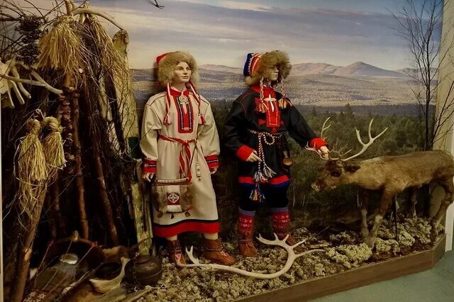 саамы ингерманландия. саамы лопари финляндии. саамы оленеводы. саамы нойды. саамы народ севера.