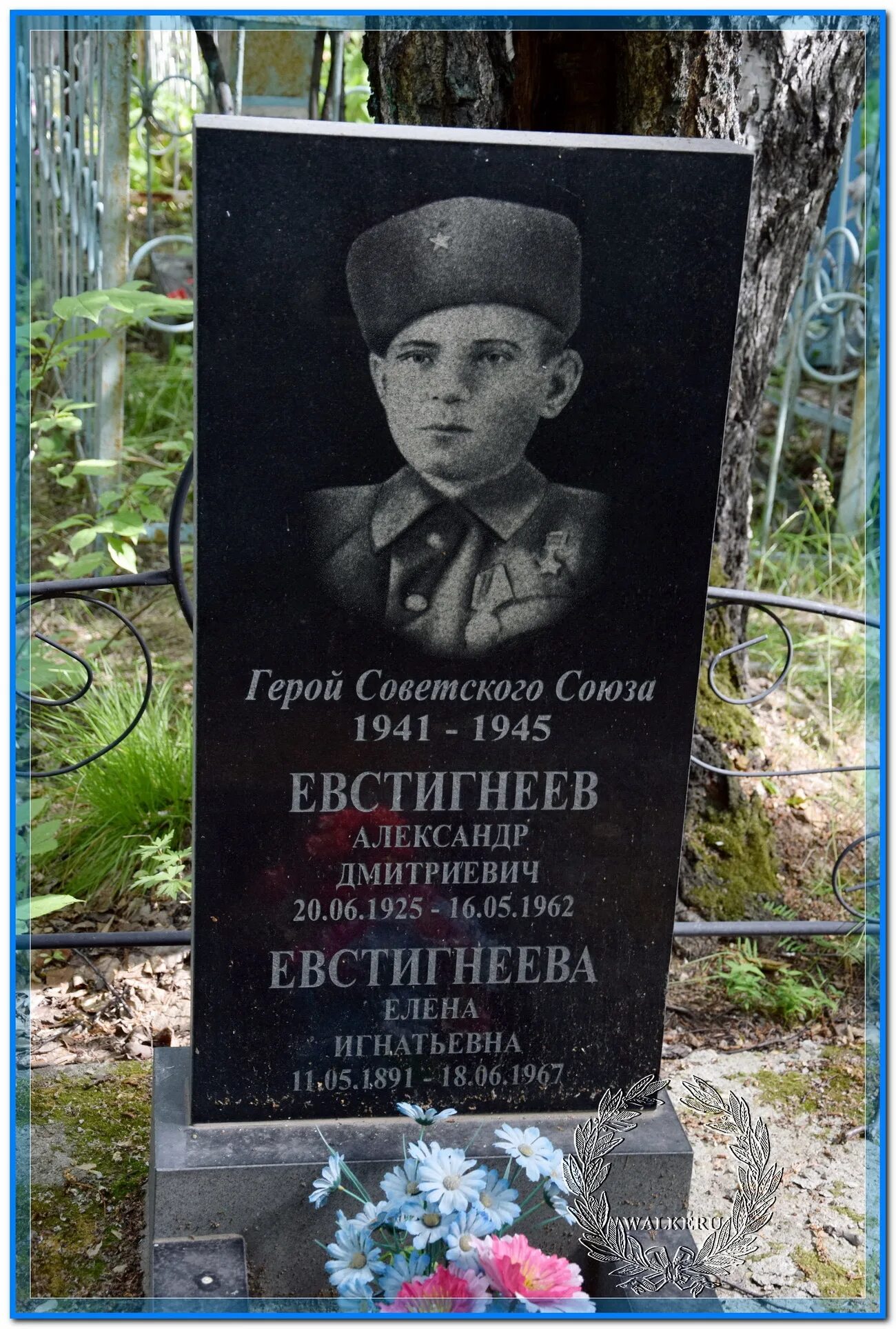 корреспондент евстигнеев