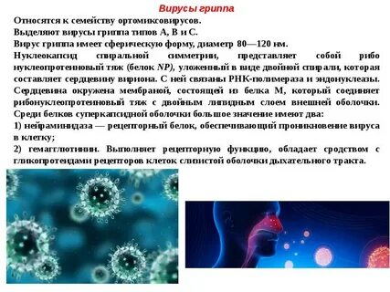 Грипп относится к семейству