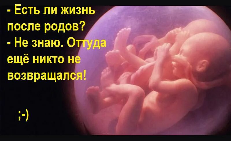 Притча про младенцев в утробе. Есть ли жизнь после родов. Притча о младенцах в утробе. Жизнь после рождения ребенка.