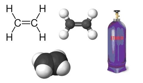 Этен – непредельный углеводород, относящийся к классу алкенов и являющийся ...