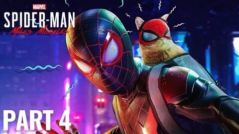 Spider man cat