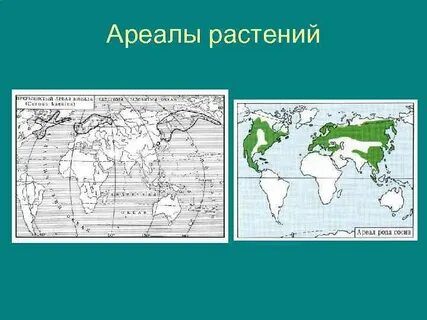 Виды ареалов растений