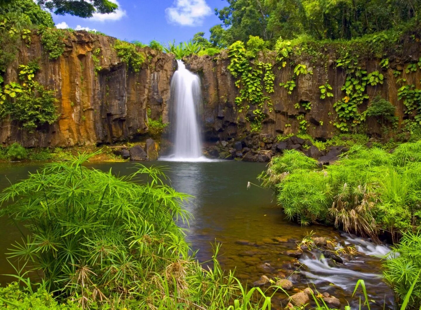 Водопад. Красивая природа. Живая природа водопады. Пейзаж водопад.