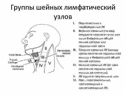 Лимфоузлы возле челюсти