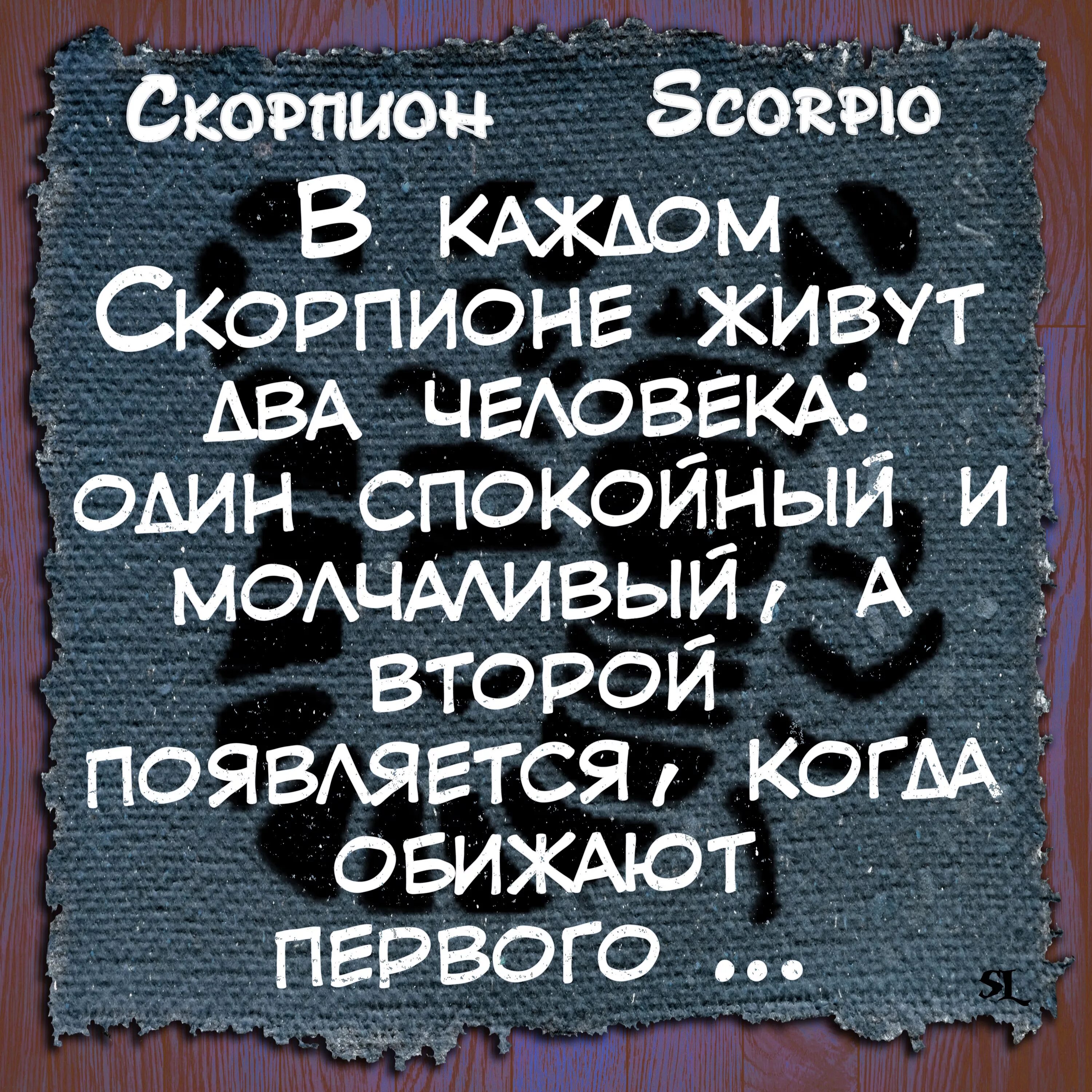 Скорпион прикол картинки. Афоризмы про скорпионов. скорпион цитаты. высказывания про скорпионов. скорпион прикольные высказывания.