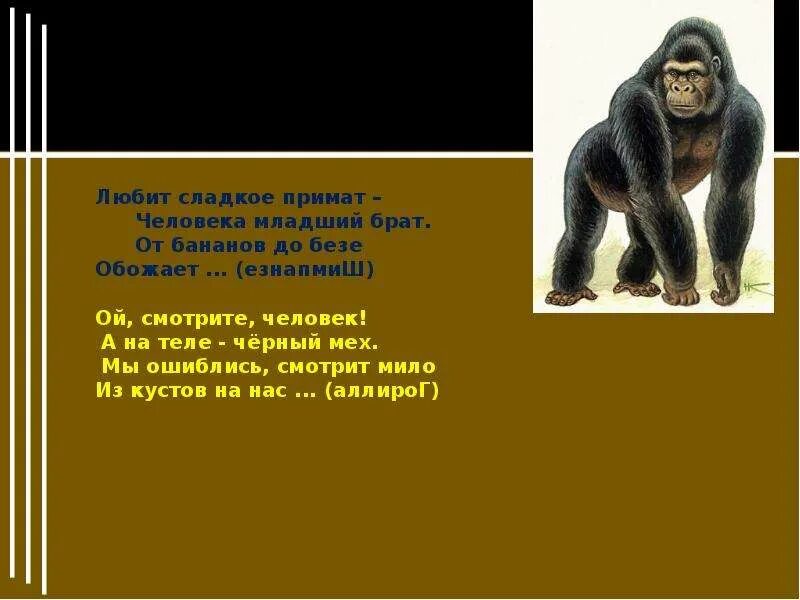 Житков про обезьянку. Рассказ про обезьяну. Б Житков про обезьянку. Обезьяна для презентации.