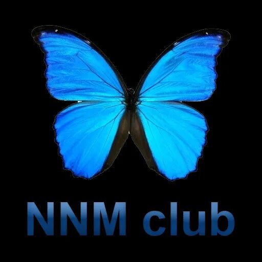 Nnm forum. Nnm Club. Nnm Club логотип. Картинки nnm Club. Ютттд.