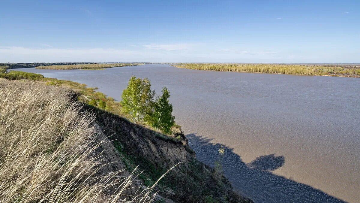 Река обь находится на берегу. Река обь малышево. пойма реки обь барнаул. река обь село фоминское. калачевск обь.