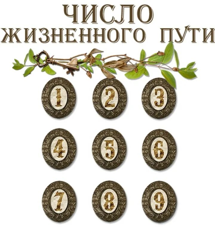 Число жизненного пути 3. Число жизненного пути. число жизненного пути нумерология. число жизненного пути ( чжп ). число жизненного пути 9.