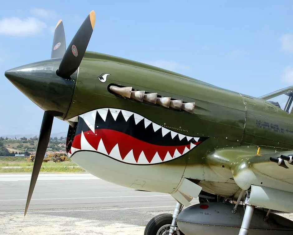 Самолет акула. Акула самолет тревор хендерсон. p40 mustang самолет. p-40 самолет. самолет шарк акула.