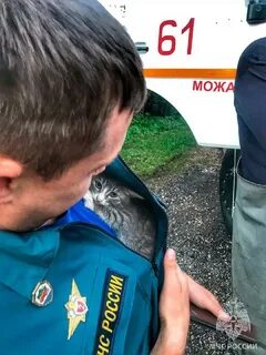 Живой спасать