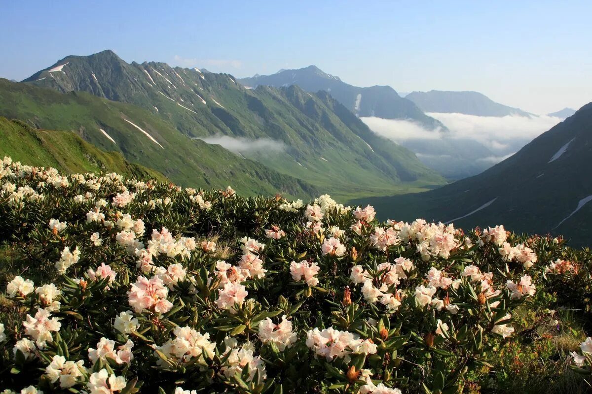 хребет большой хинган. хинган (аймак). хинган. большой хинган горы. хребет малый хинган.