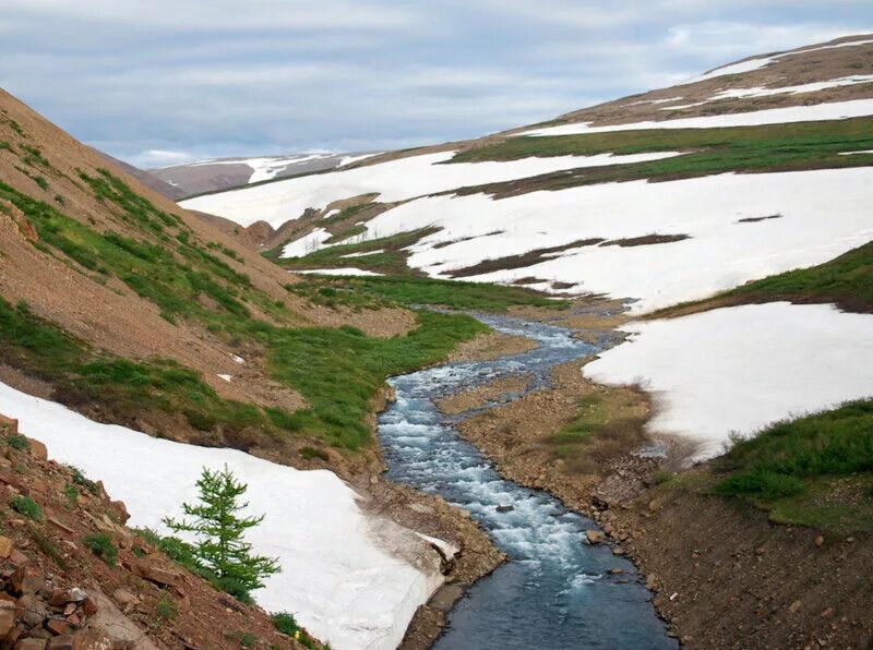 Озеро лама плато путорана. Таймыр озеро таймыр. Что такое таймыр. Западное побережье острова таймыр. Весенний таймыр талнах.