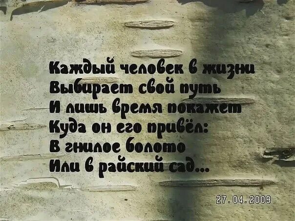 Каждый выбирает свой путь цитаты. Каждый человек сам выбирает свой путь. Каждый сам выбирает свой путь цитаты. Каждый выбирает свою дорогу цитаты.