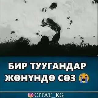 Бир окига
