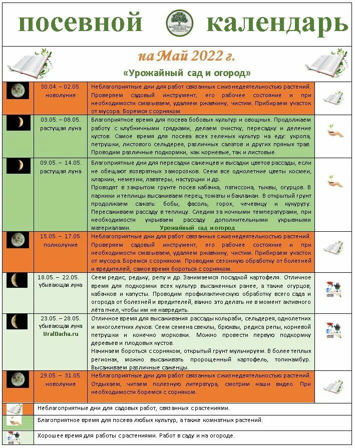 Дачный посевной календарь на май 2024