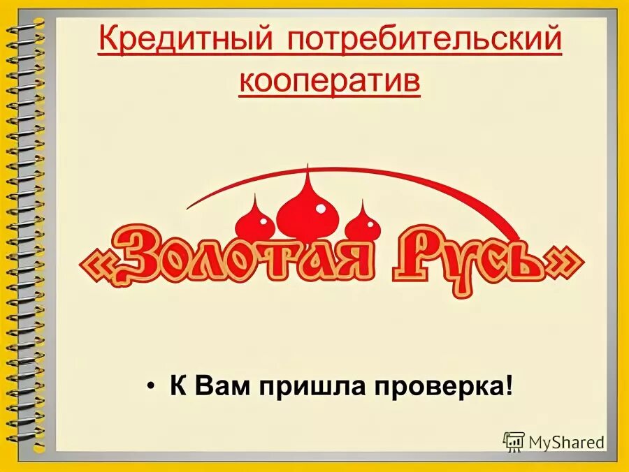 к вам пришла проверка