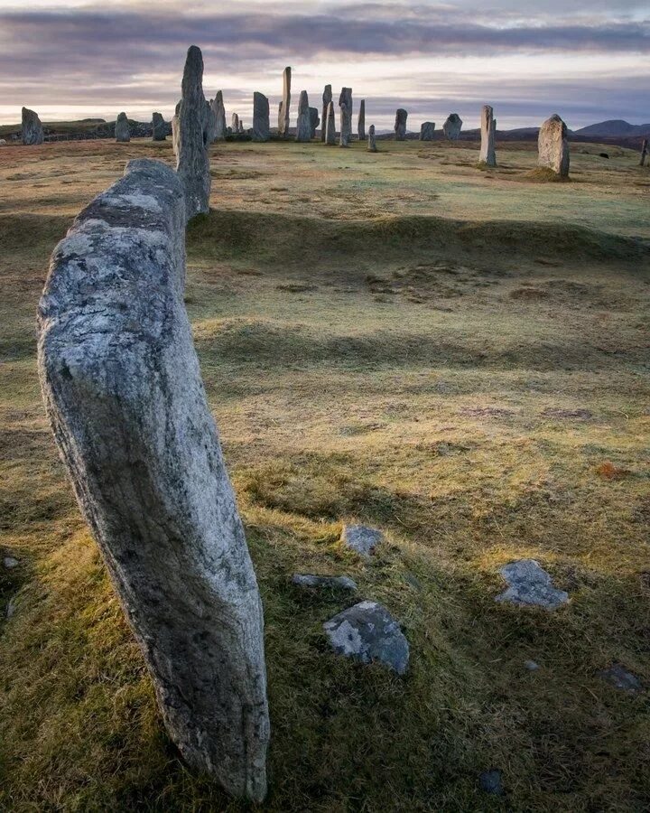 Калланиш Шотландия. Камни Калланиш остров Льюис Шотландия. Остров Льюис Шотландия мегалиты. Столбы Калланиш Шотландия. Stone placing