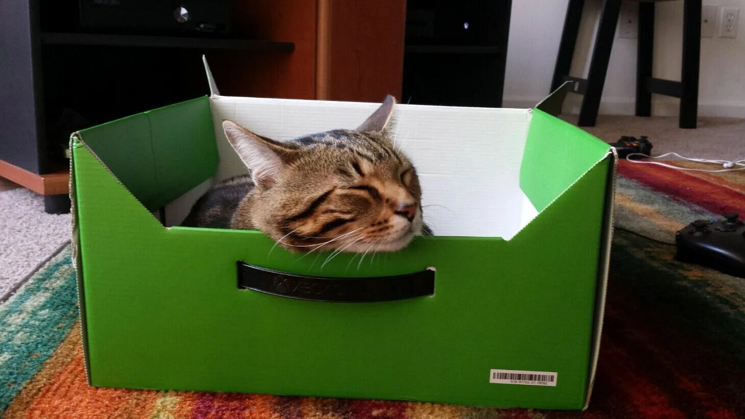 My cat box. Xbox cat. xbox 360 cat. кошка 360. my cat likes to hide in boxes.
