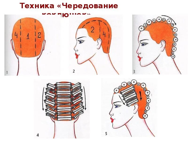 Вертикальная хим завивка схема. Классическая химическая завивка схема накрутки. Техника накручивания волос на коклюшки. Технология выполнение химической завивки на спиральные коклюшки. Вертикальная хим завивка схема.