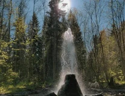 Гатчинские гейзеры