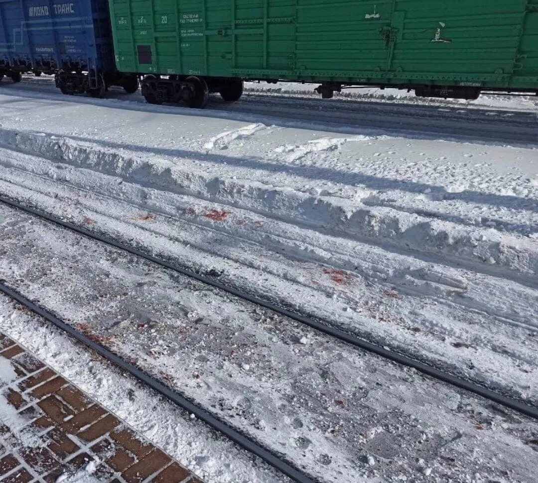 Поезд сбил человека в Подмосковье. 28 декабря 20