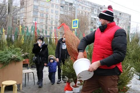 Елочный базар тула