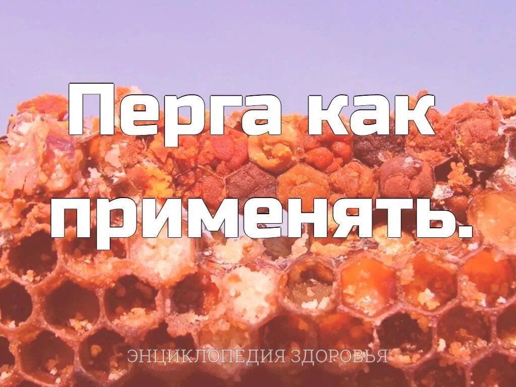 Сколько можно есть перги в день