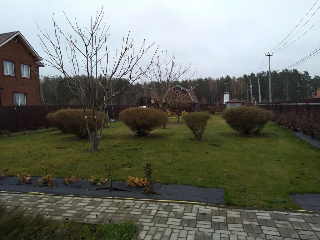 Аленино ул центральная дом 14. Деревня якимово московская область. Черноголовка город московская область. Якимово черноголовка. Деревня якимово.