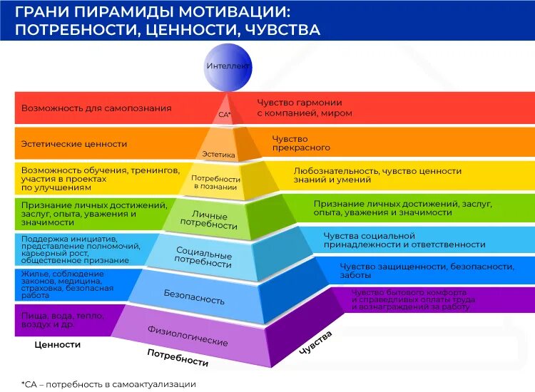 Уровни профессиональной мотивации. Потребности и ценности. Список ценностей человека психология. Взаимосвязь эмоций и потребностей. Основные ценности человека.