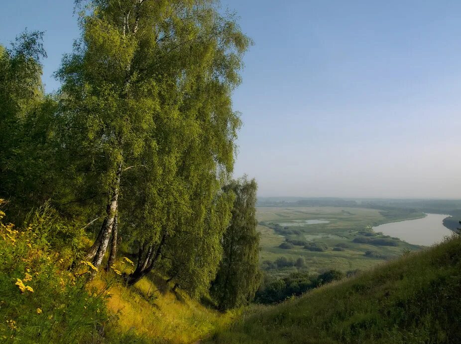 Природа родного края. Уголки природы Владимирского края. Красота нашего края. Природа нашей Родины. Родной край связь