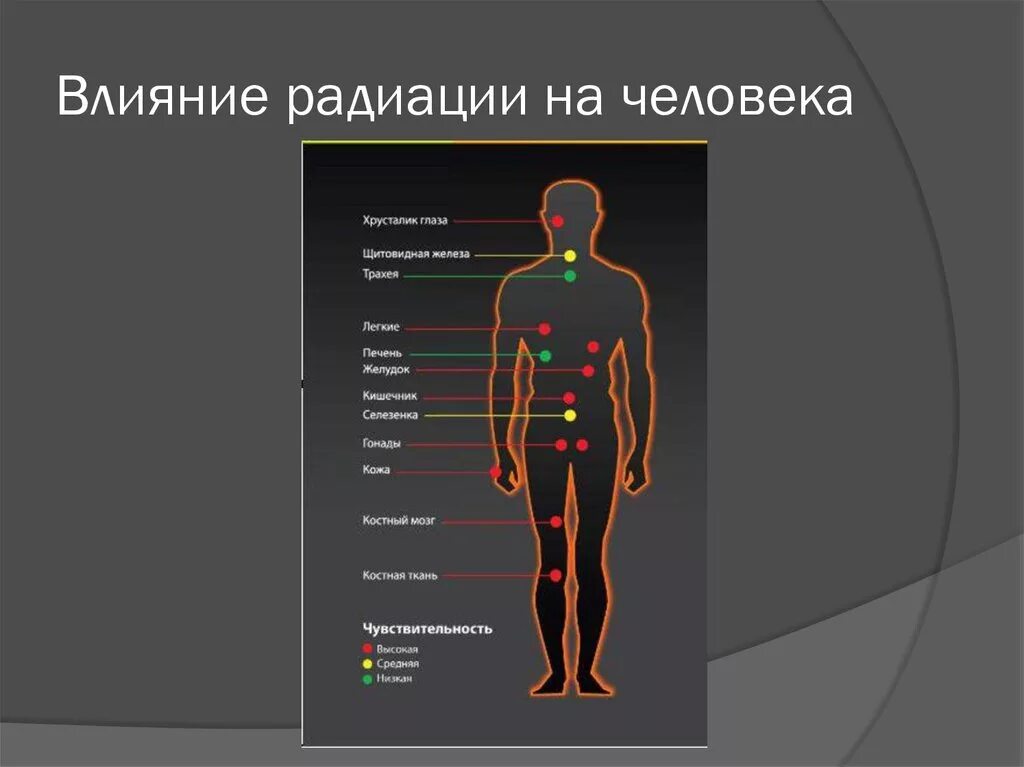 Радиационное излучение влияние на человека. Влияние человека на радиации влияние радиации на организм человека. Воздействие радия на человека. Воздействие радиоактивного излучения на человека.