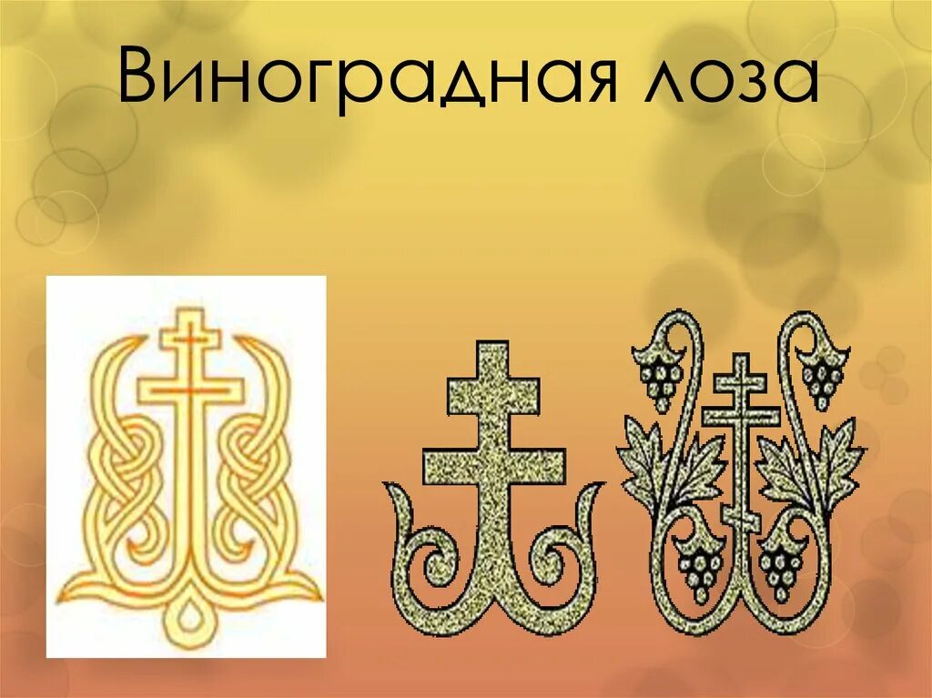 Что означает виноградная лоза. Виноградная лоза символ христианства. Я есмь истинная виноградная лоза, а отец мой - виноградарь. Виноградная лоза символ христианства. Цитаты из евангелия.
