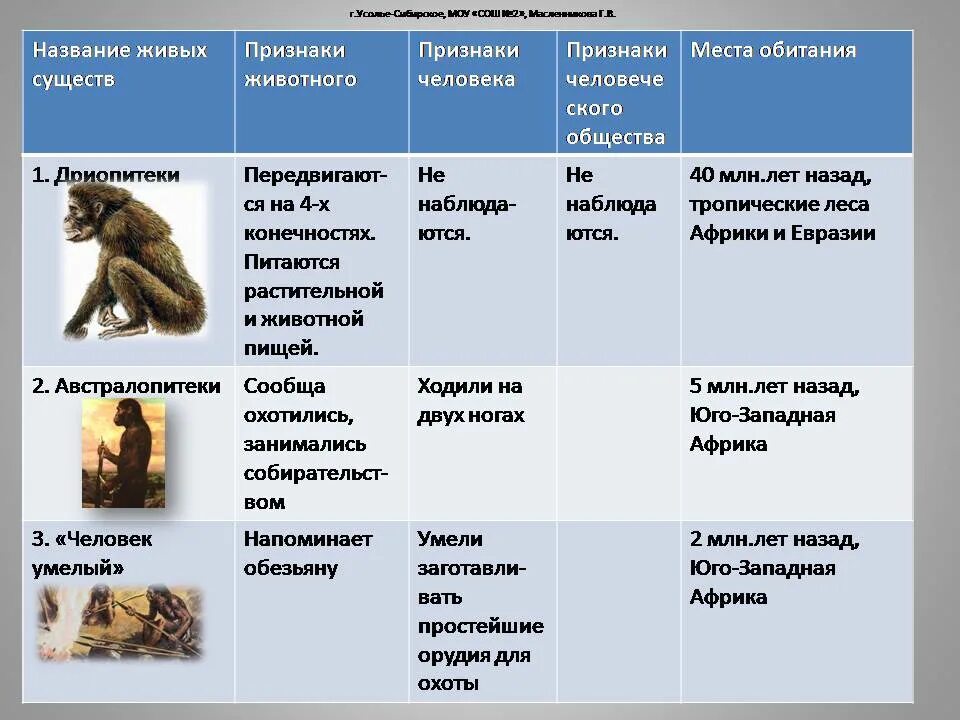 Какой стадии не было в эволюции. Таблица эволюция приматов 9 класс. этапы эволюции человека таблица дриопитек. этапы эволюции приматов таблица дриопитеки. этапы антропогенеза таблица австралопитек.