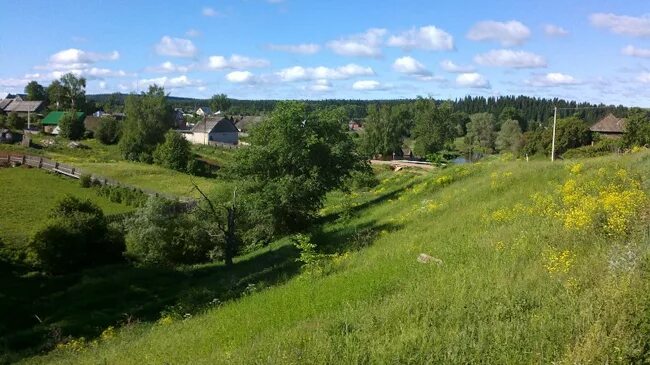 Большая соснова пермский край. Население большая соснова пермский край. Сайты большая соснова. Большая соснова пермский край. Село большая соснова природа.