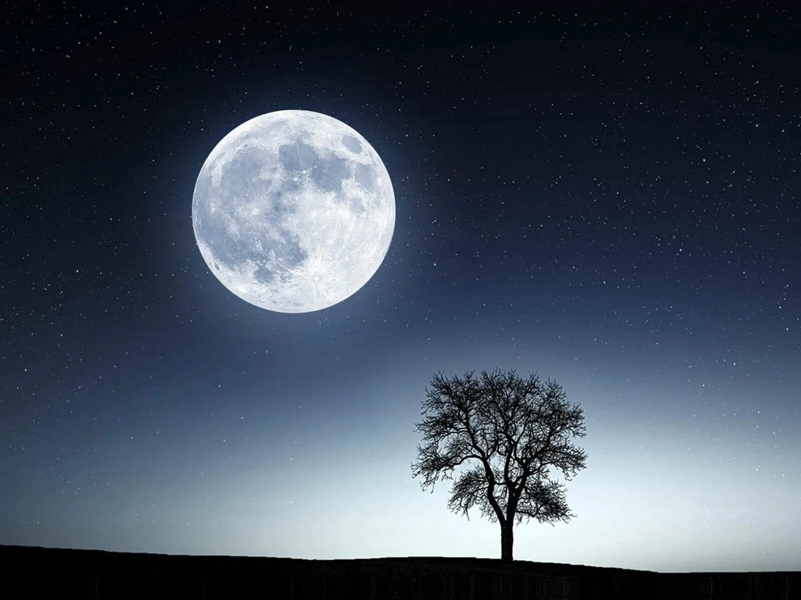 Когда будет полная луна в марте. Суперлуние в 2021. Полнолуние в марте 2022. Большая Луна. Луна полнолуние.