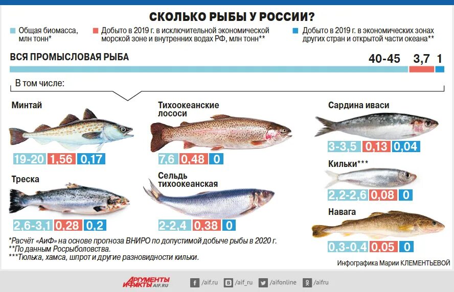 Объемы вылова рыбы в России по годам. Улов рыбы в России. Какую рыбу добывают в России. Типы рыбного промысла в России.