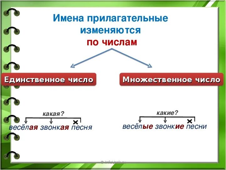 Единственное множественное число прилагательных 2 класс