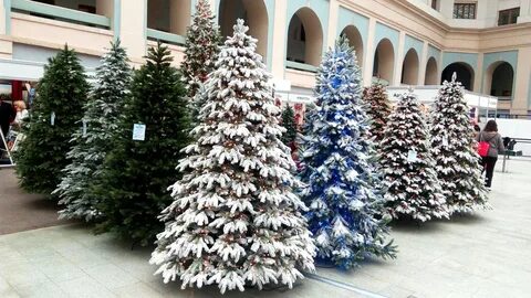 Магазин елки москва