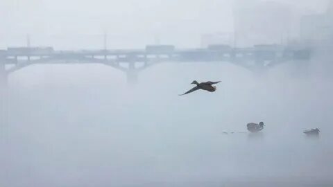 Утро на енисее сегодняшний