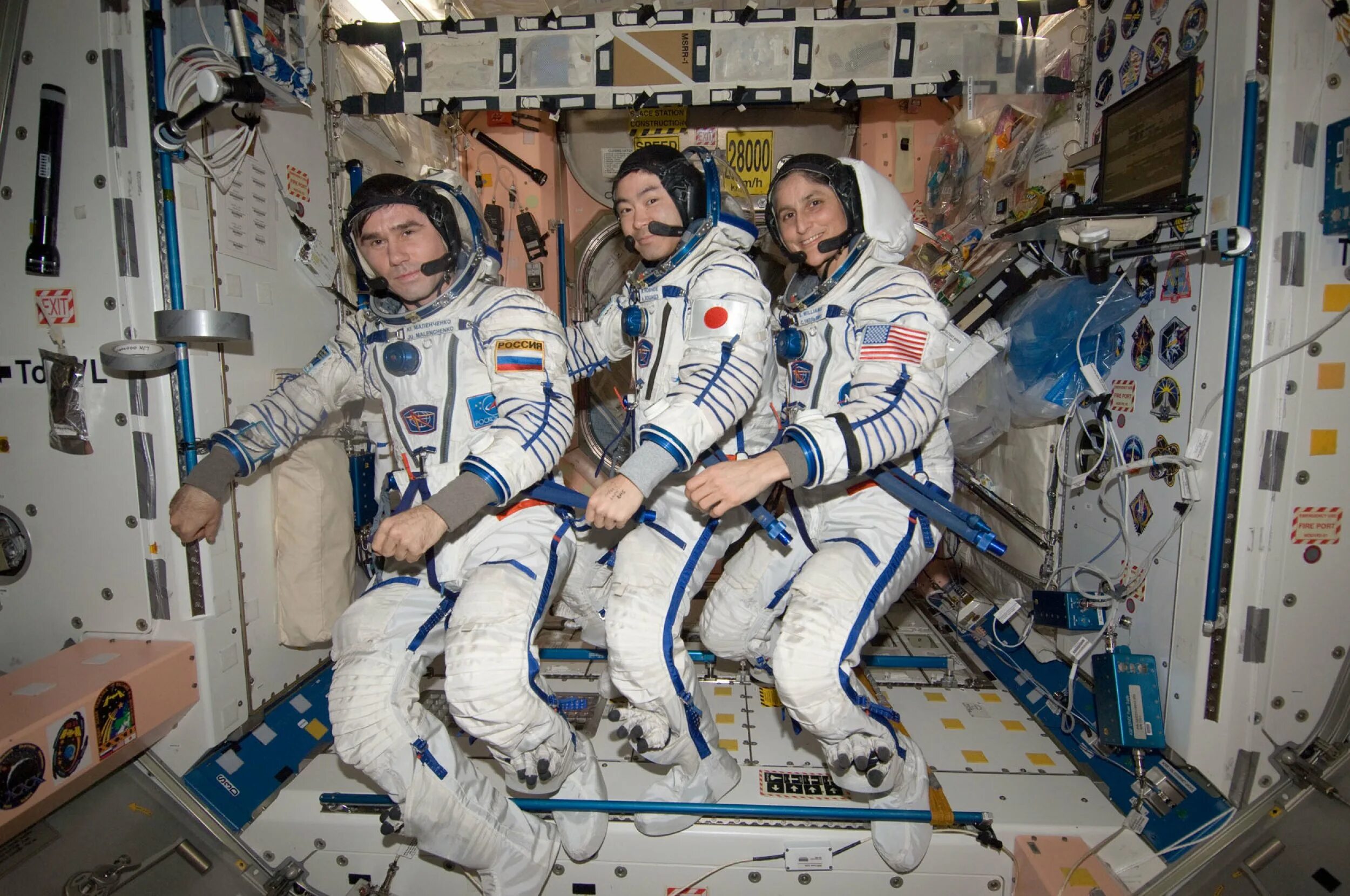 Какая страна первая вышла в космос. Космонавт в космосе. современная космонавтика. современные космонавты. космический корабль с космонавтом.