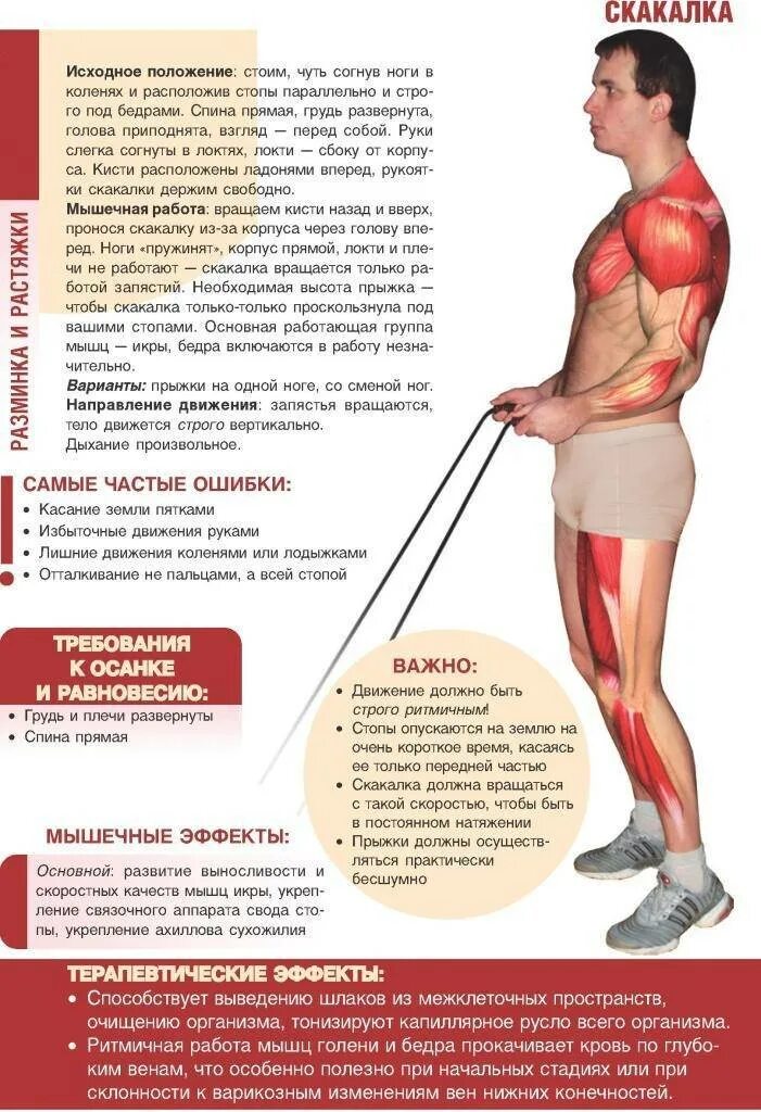 Польза скакалки для мужчин. Прыжки со скакалкой для похудения упражнения. Мышцы задействованные при скакалке. Мышцы задействованные при прыжках на скакалке. Прыжки на скакалке для похудения таблица для мужчин.