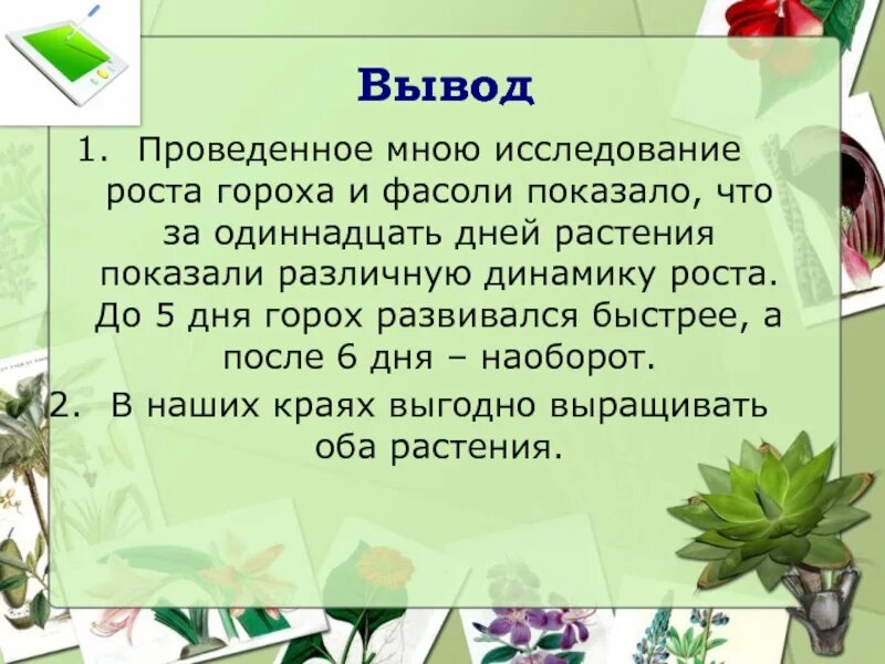 Горох вывод