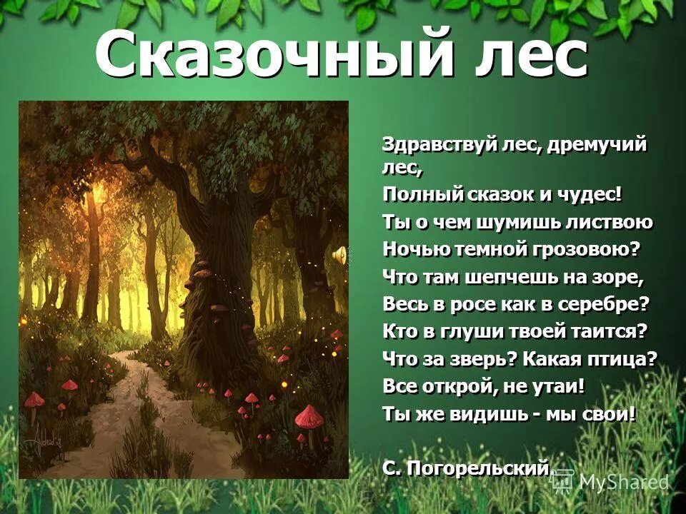 В природе есть удивительные праздники основная мысль. Стихи о лесе. Стихотворение про лес. Дремучий лес сказочный. Дремучий лес сказка.